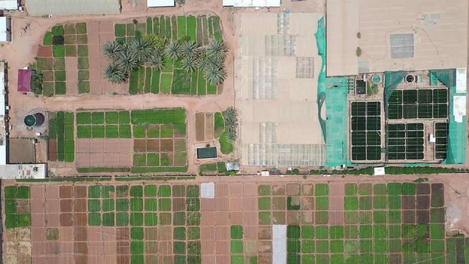 Aerial view of Techno Farm's rotated plots, greenhouses and ponds